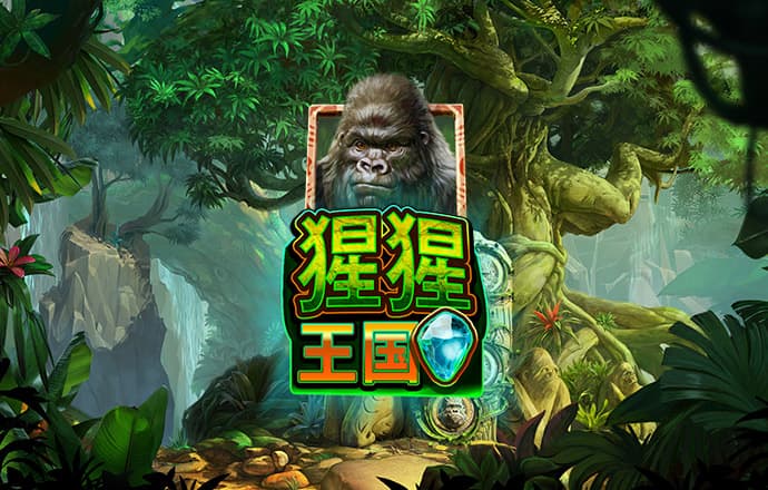 pc28网站官网下载